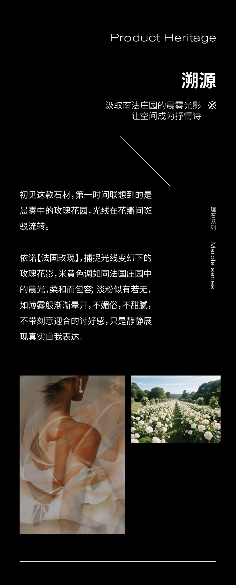 法國玫瑰推文-02.jpg